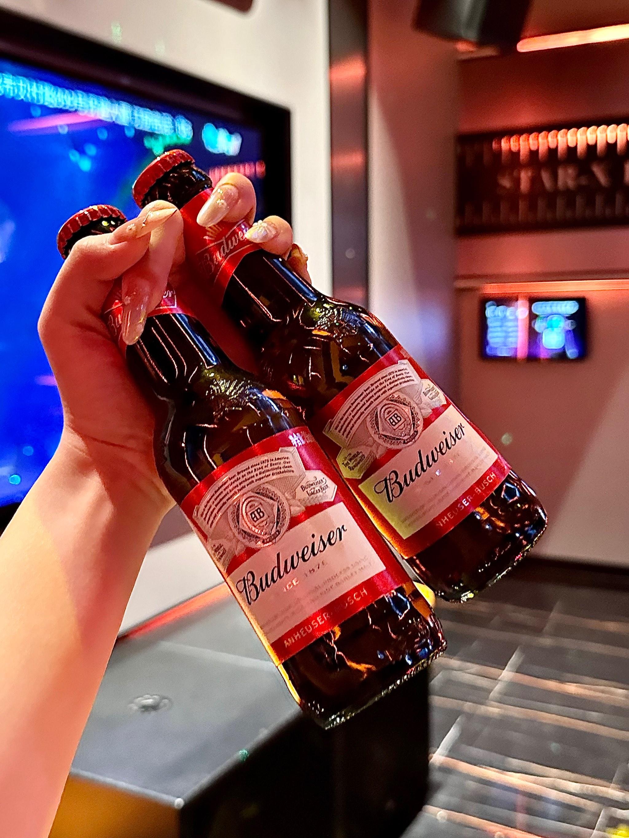 沧州商务ktv及商务ktv什么意思详解-肃宁县ktv预定